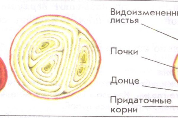 Через какой браузер зайти на кракен